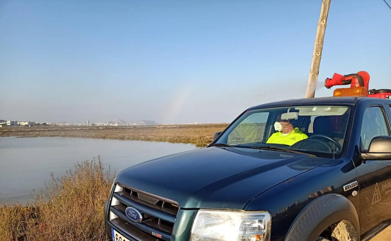 Operarios de la empresa concesionaria fumigan los humedales de Alicante. 