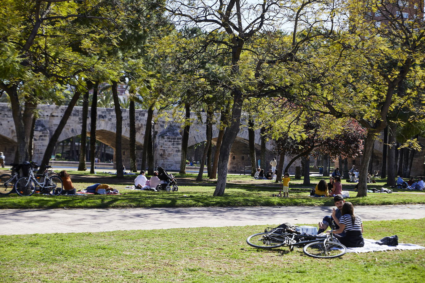 Jardín del Turia