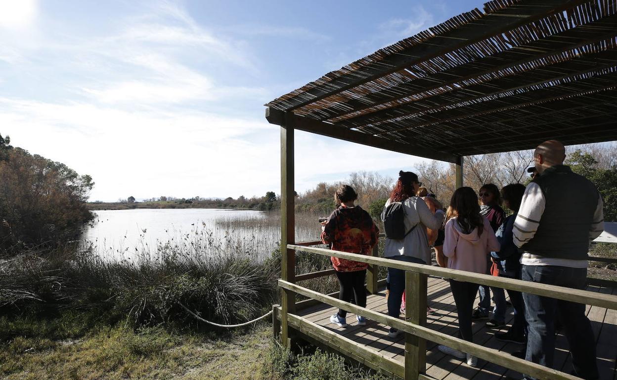 Grupo de visitantes al parque natural de la Albufera