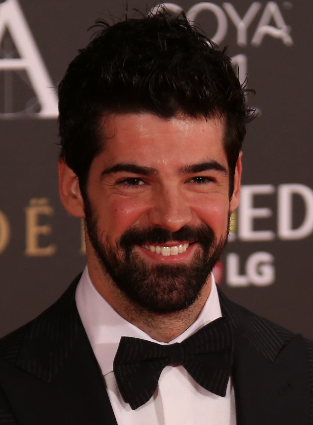 Miguel Ángel Muñoz en la gala de los Premios Goya 2017.