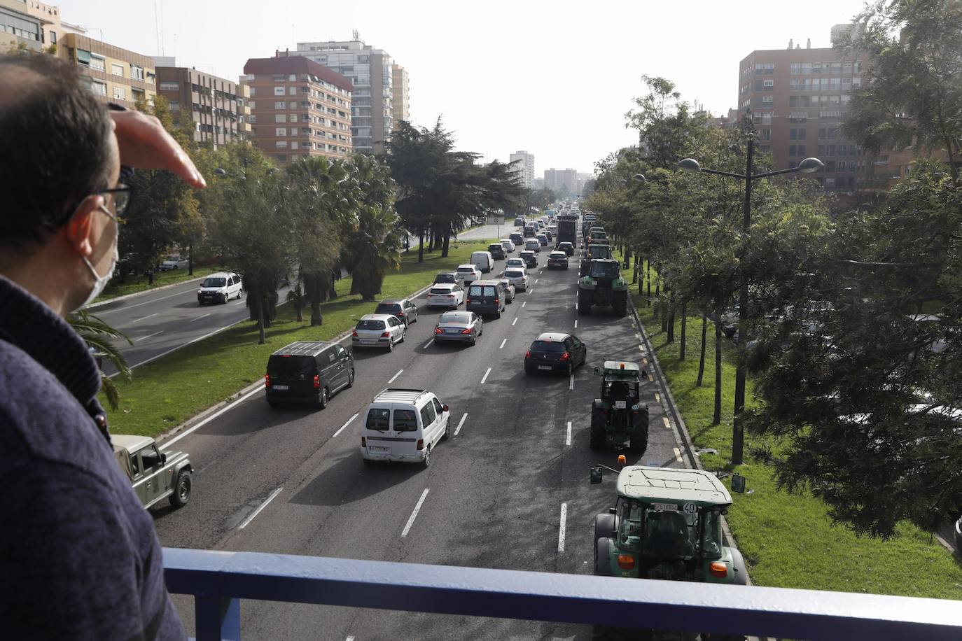 Decenas de tractores han recorrido varios municipios de Valencia y calles de la ciudad para protestar en defensa del sector arrocero, lo que ha provocado retenciones de tráfico a primera hora de este martes. 