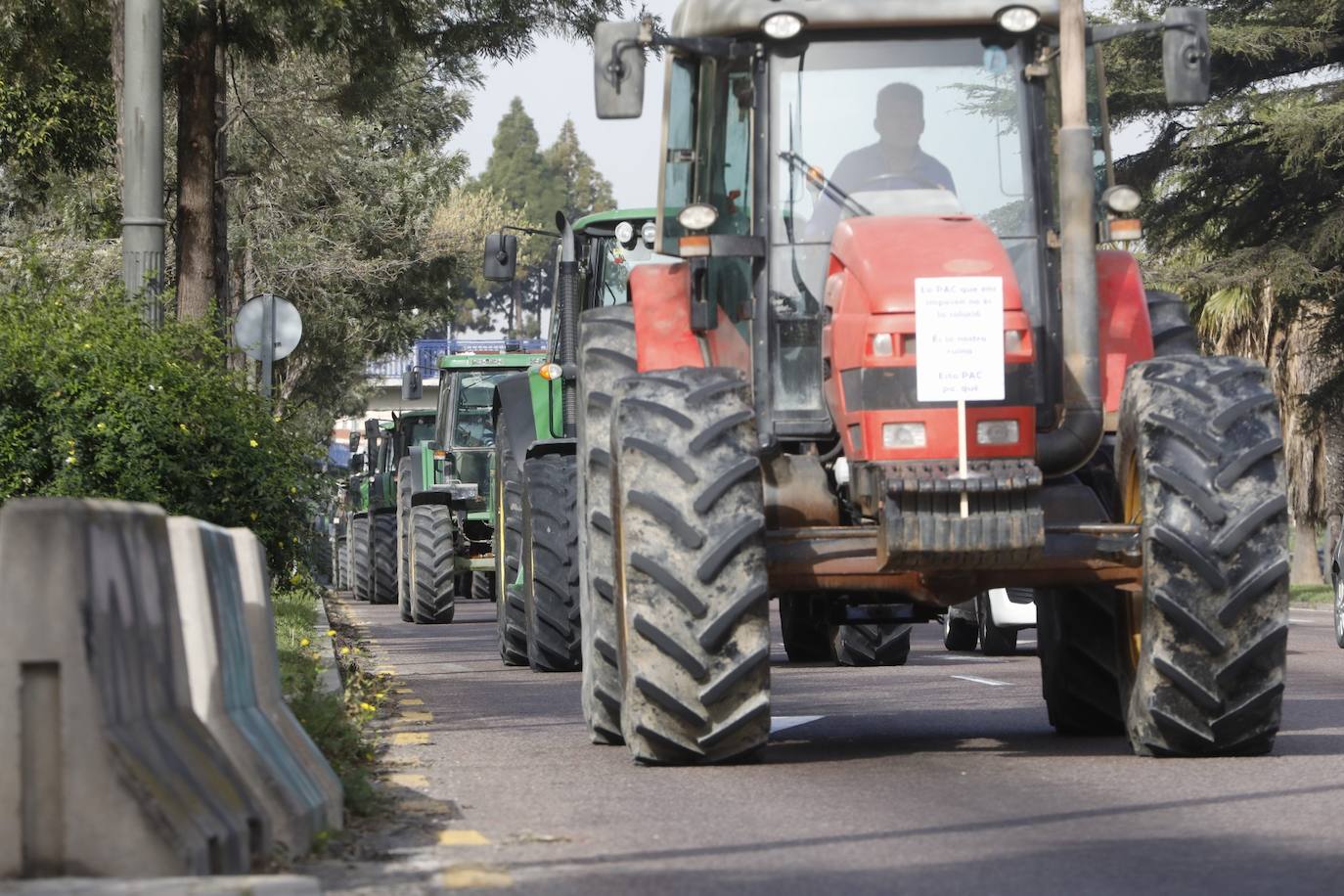 Decenas de tractores han recorrido varios municipios de Valencia y calles de la ciudad para protestar en defensa del sector arrocero, lo que ha provocado retenciones de tráfico a primera hora de este martes. 