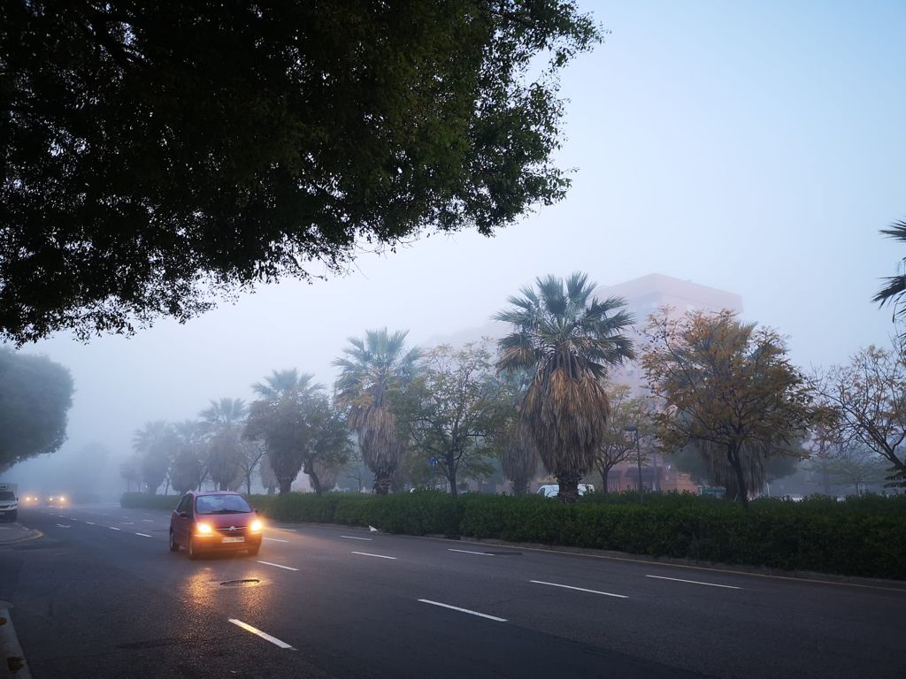 Fotos: Valencia amanece cubierta de niebla