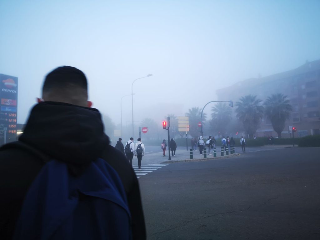 Fotos: Valencia amanece cubierta de niebla