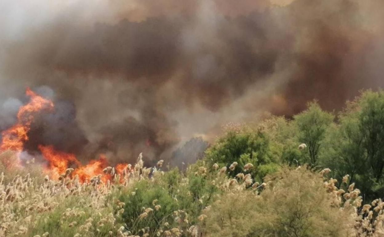 Imagen del incendio de Aspe