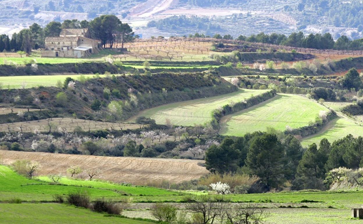 Uno de las comarcas donde más presión hay para instalar fotovoltaicas.