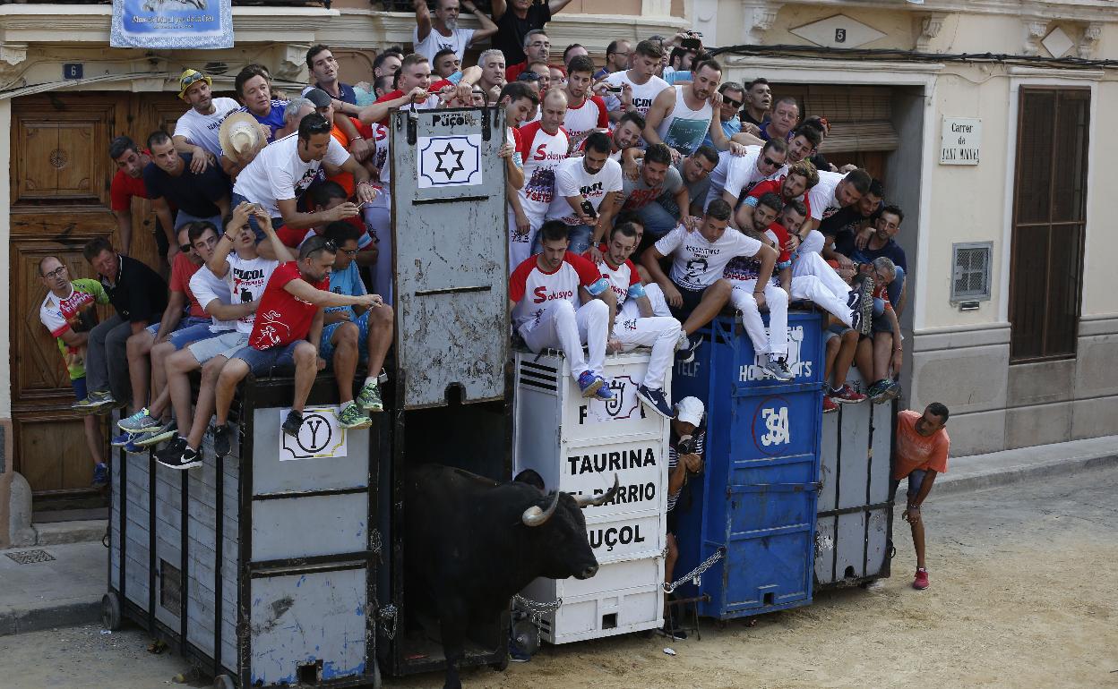 Evento de bous al carrer. 