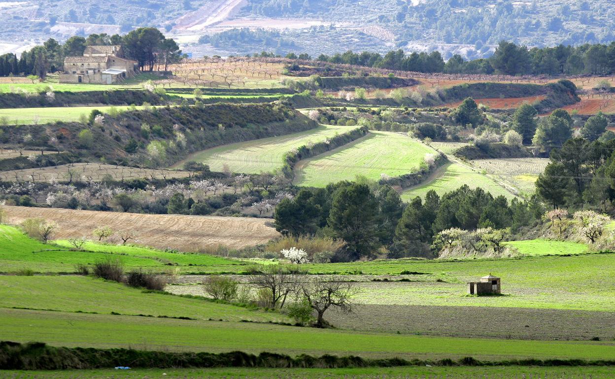 Zona del interior de la provincia de Valencia donde existen proyectos para parques solares. 