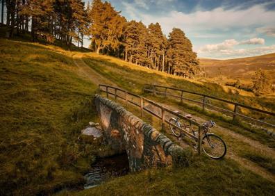 Imagen secundaria 1 - Tres fotogramas de la serie documental.