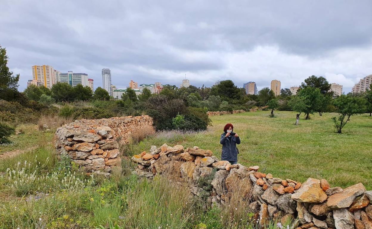 Un muro, situado en el término municipal de Calp, construido con la técnica de la Pedra Seca.