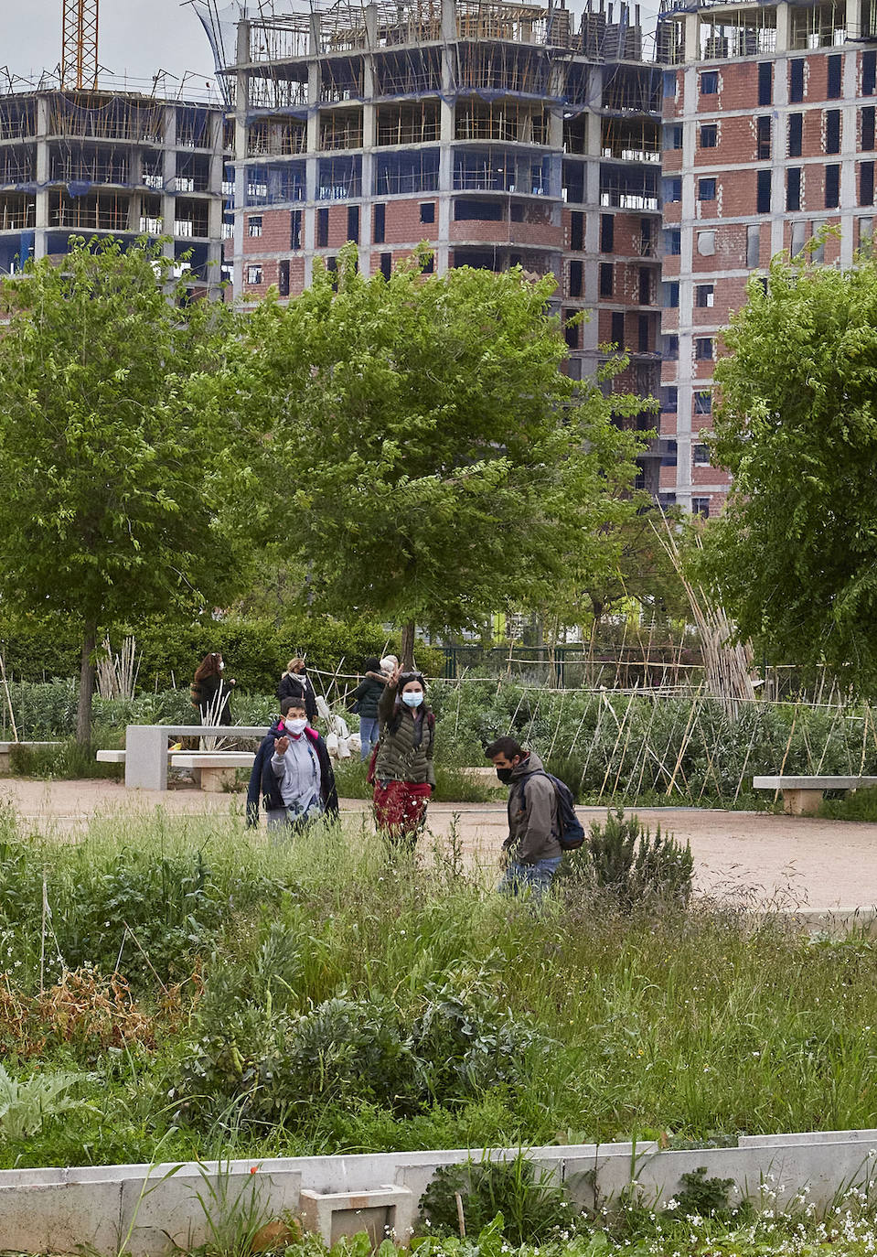 Huertos urbanos de Valencia. 