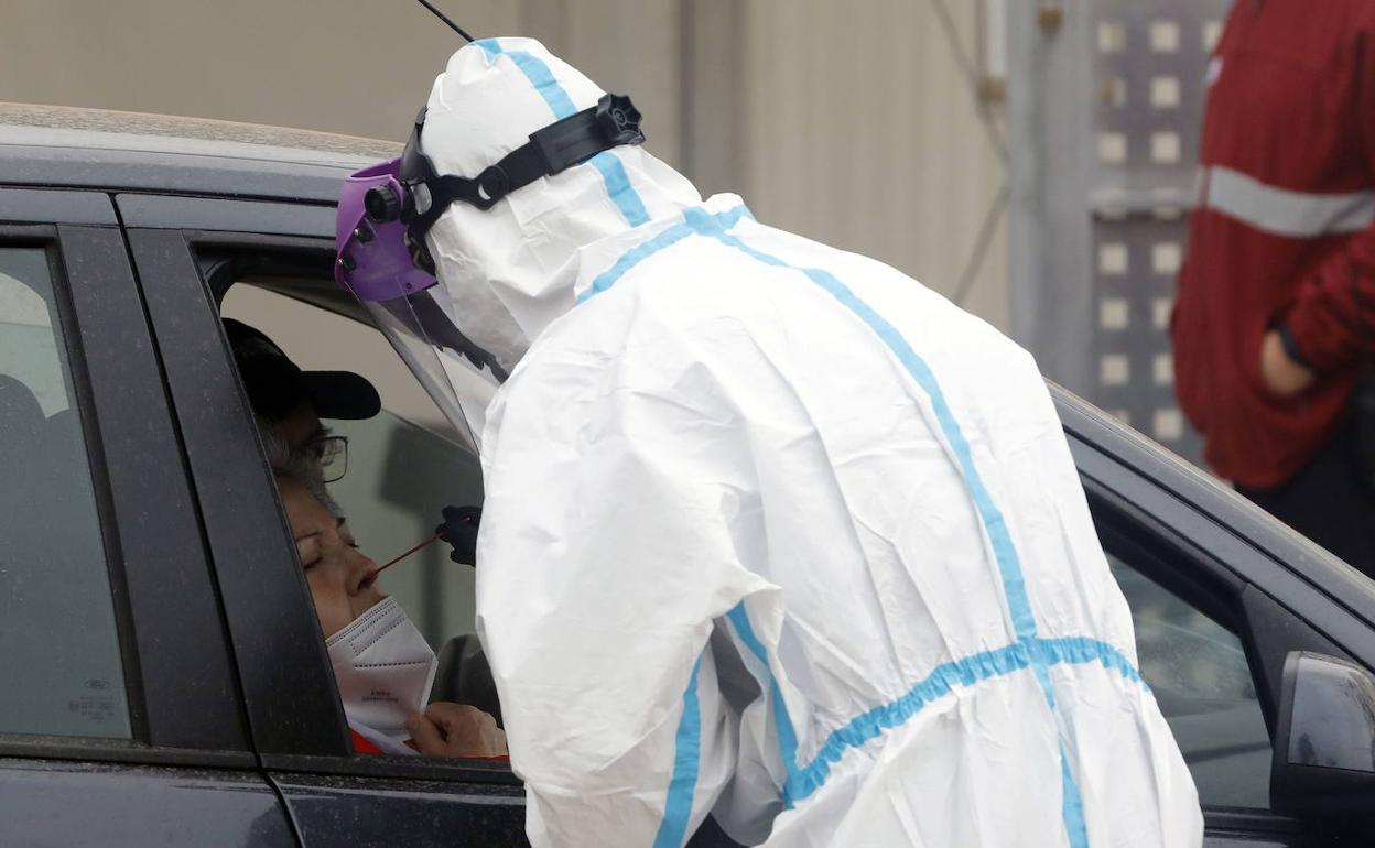 Personal sanitario toma muestras para realizar una prueba PCR.