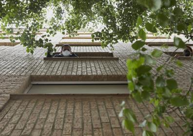 Imagen secundaria 1 - Un árbol se cuela en un piso en Valencia | Vivir con un árbol en casa