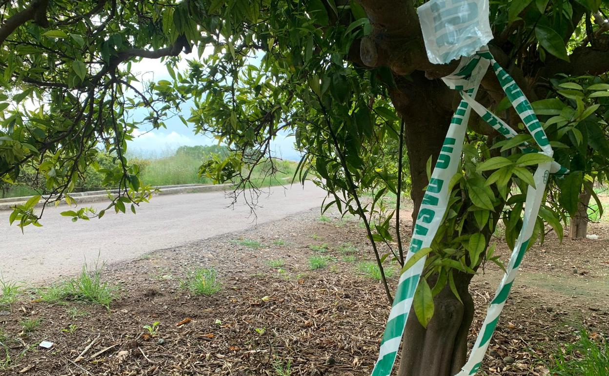 El camino donde una pareja halló el cadáver de Johana. 