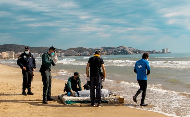 Delfín rescatado en la playa de Cullera. 