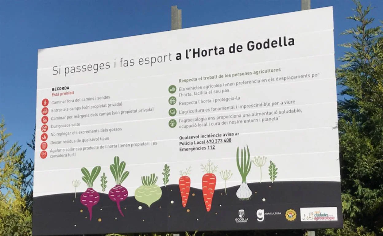 La Policía Local de Godella sanciona a cuatro personas por coger cebollas  de un campo sin permiso | Las Provincias