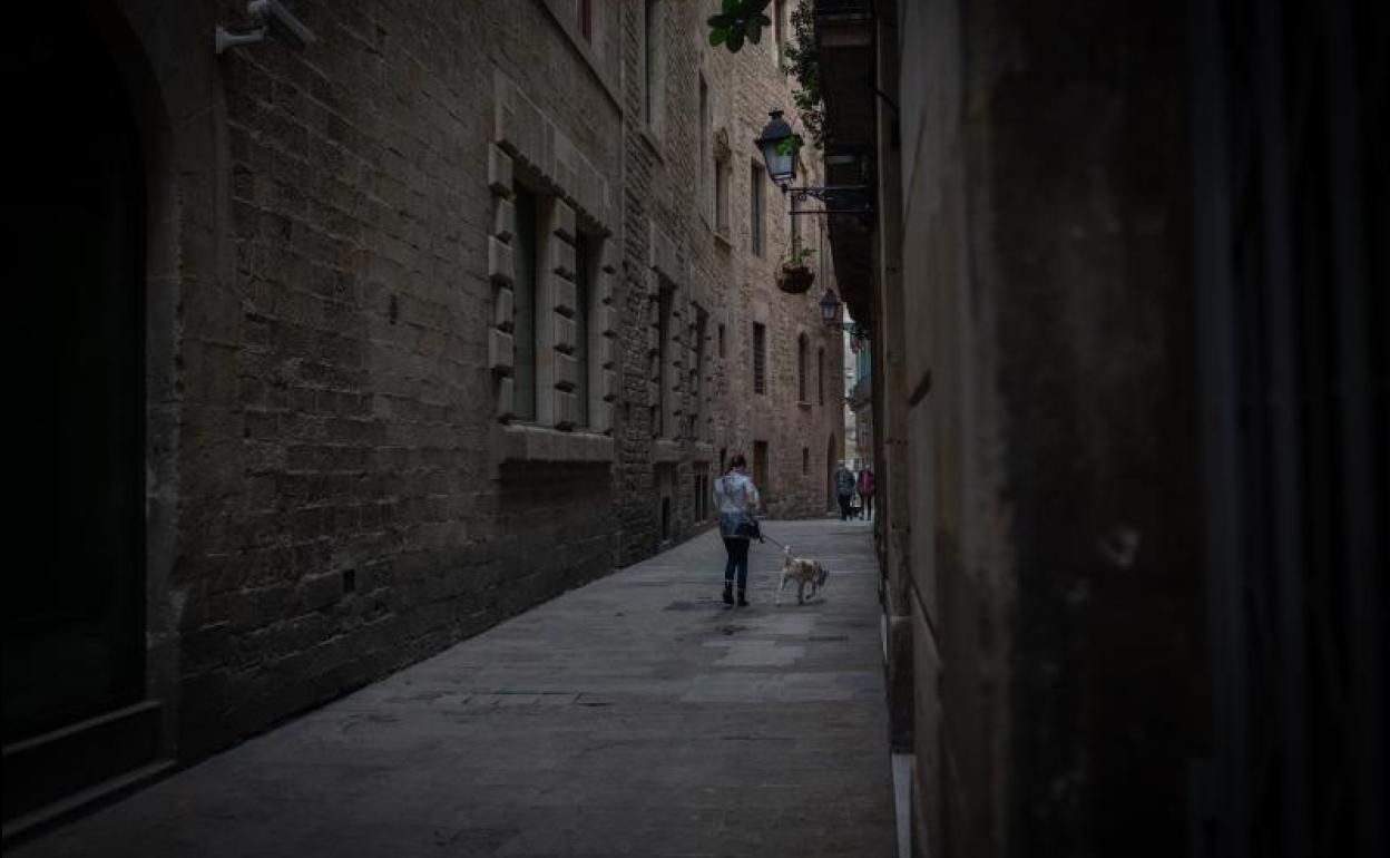 Una joven pasea a su perro al anochecher.