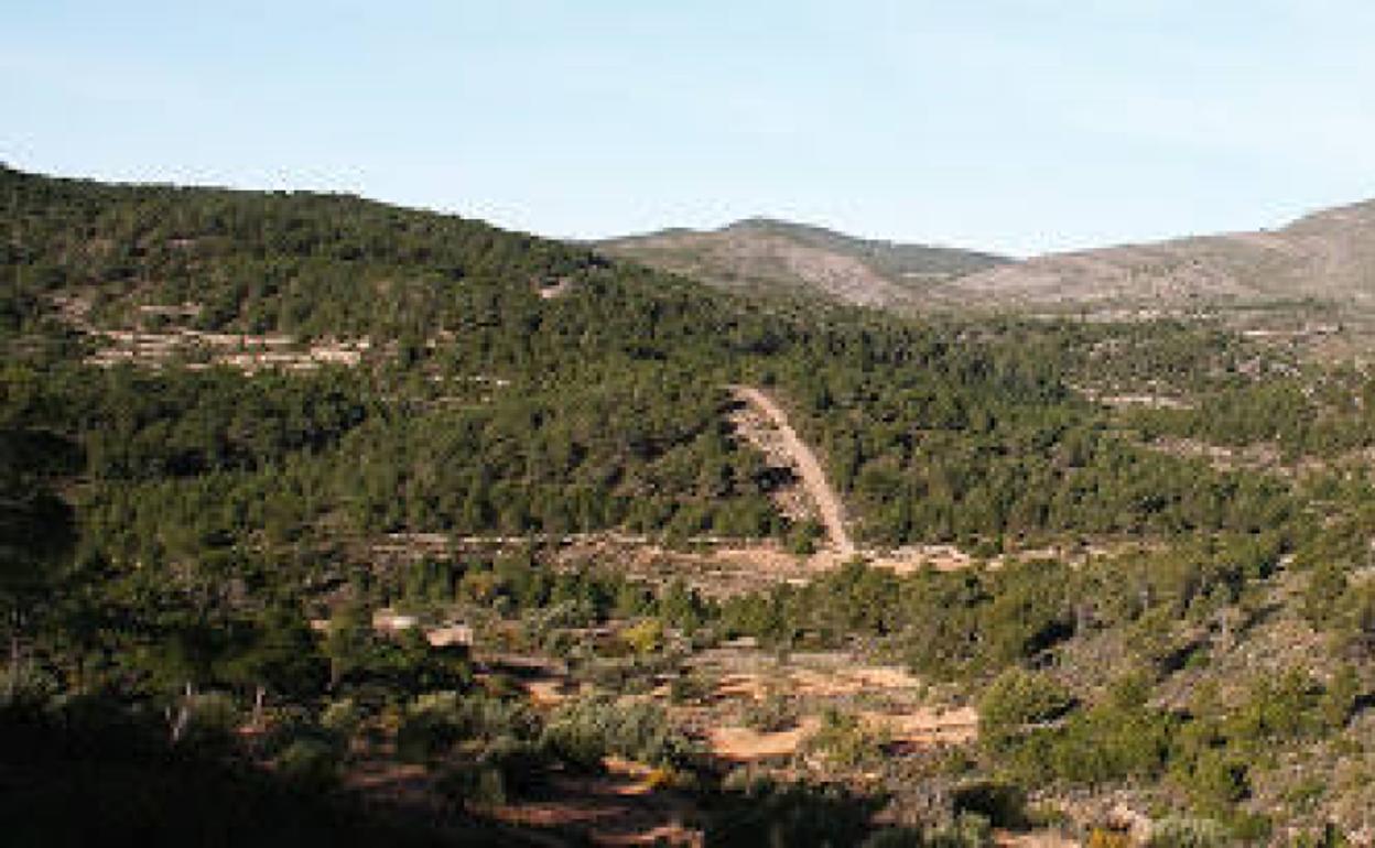 Llíria busca voluntarios para vigilar sus montes