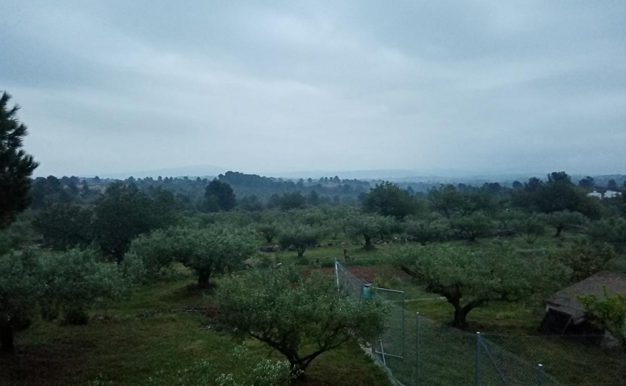 Zona de la sierra de Chella donde se proyecta la planta fotovoltaica.  