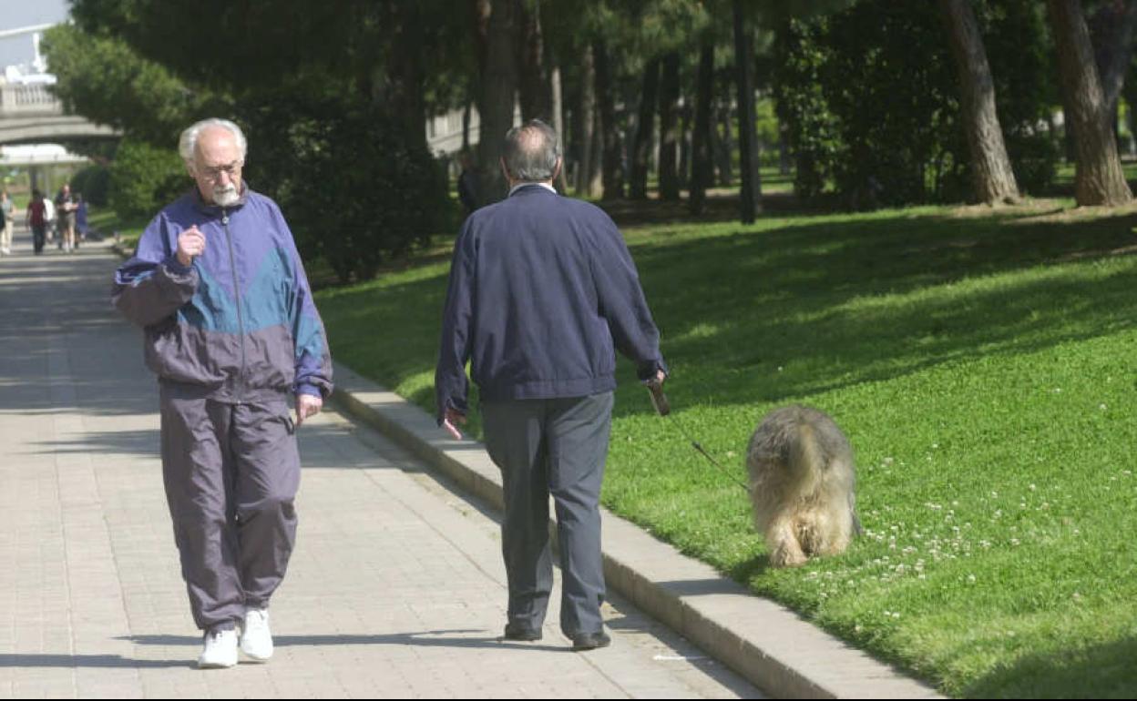 Paseo de perros por el viejo cauce del Turia.