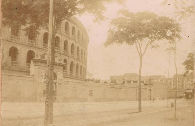 Árboles y entorno de la plaza, en 1896.