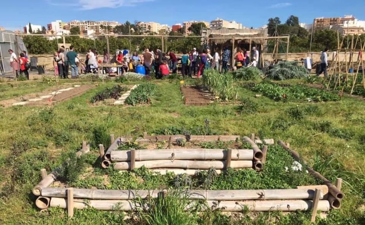 Los huertos ubicados en la conocida como Granja Julia. 