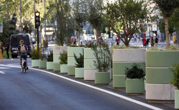 Maceteros en la plaza del Ayuntamiento.