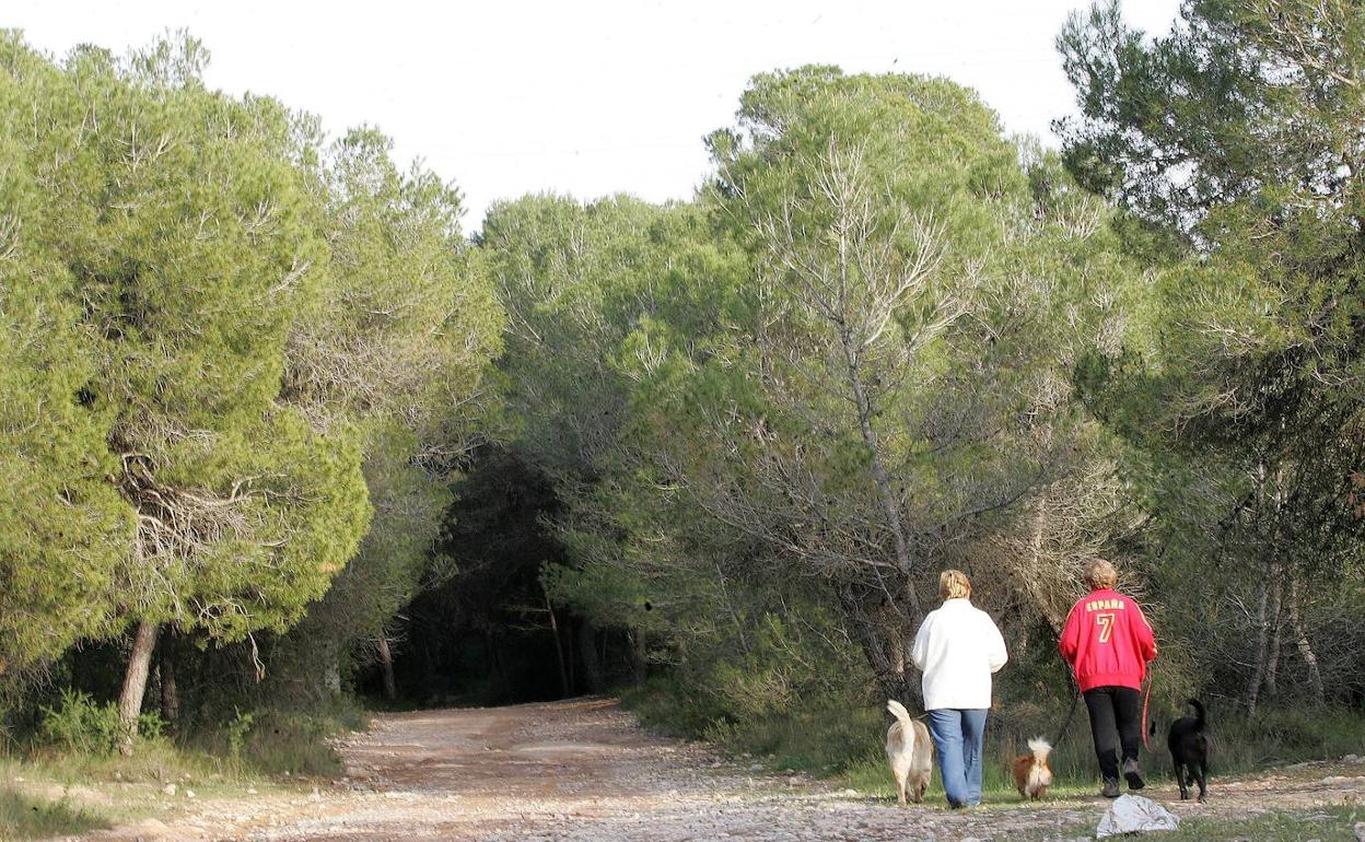 Dos mujeres, en una ruta valenciana