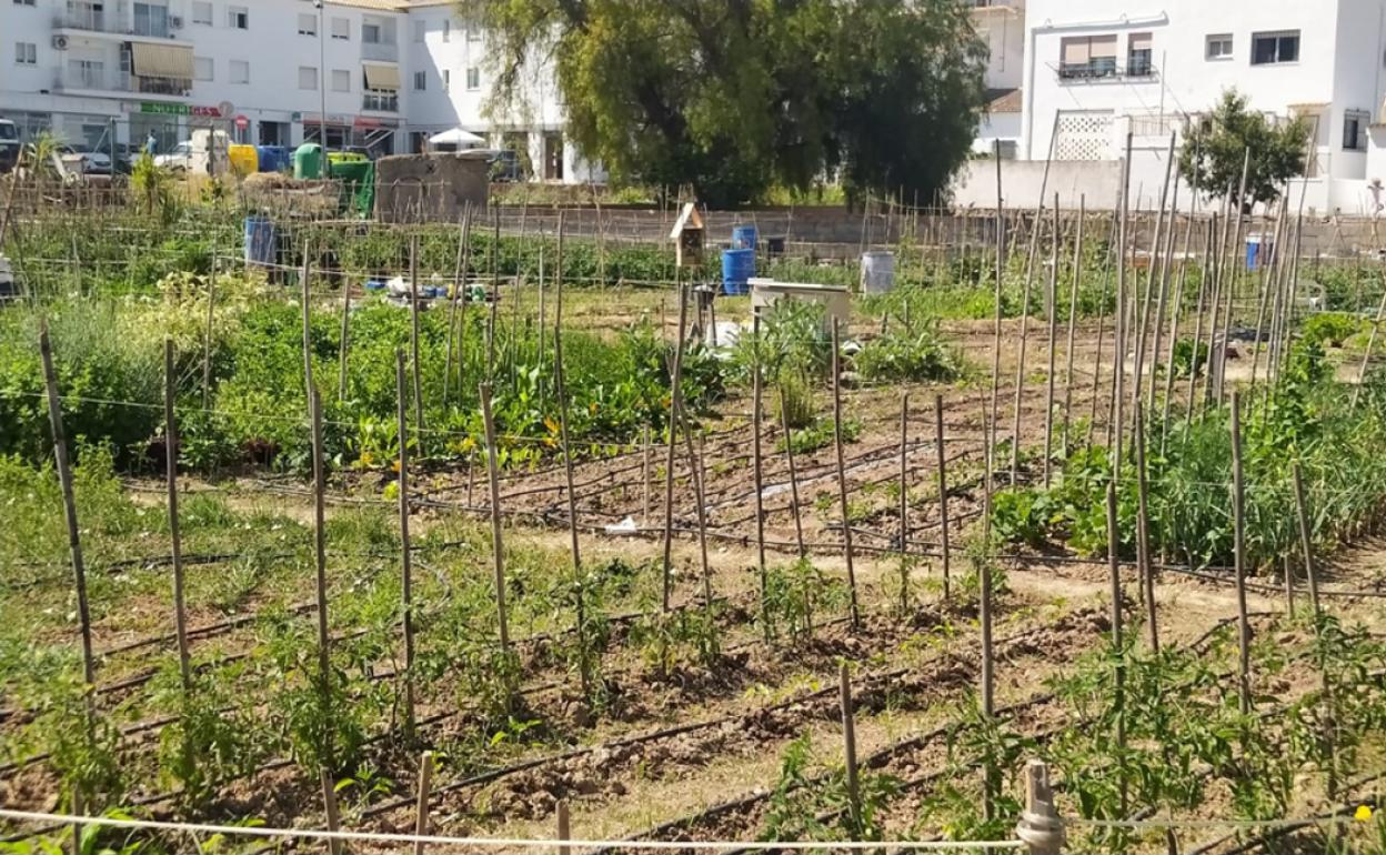 Altea 'planta' la semilla ecológica entre sus vecinos