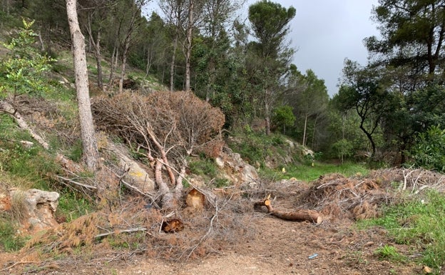 Imagen principal - Zona de montaña descuidada, los populares Carla Ripoll y Vicent Gregori, y un poste de luz junto a una casa. 