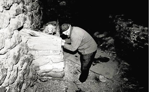 Amor a los animales. Juan prepara una cama para que una de las perras pueda dar a luza sus cachorros. 