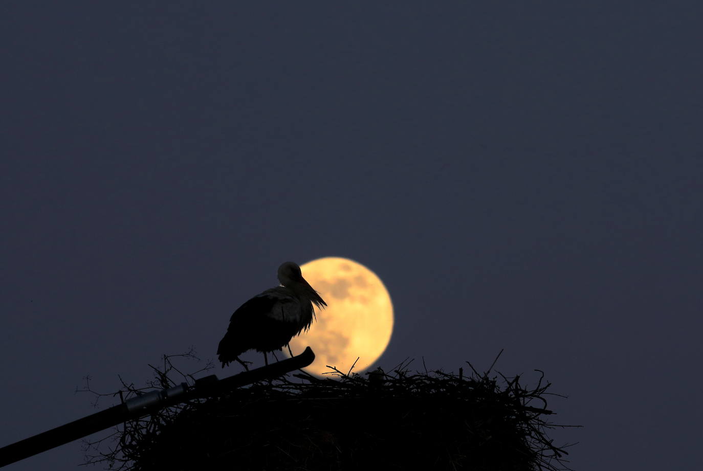 La Superluna sangrienta de mayo. 