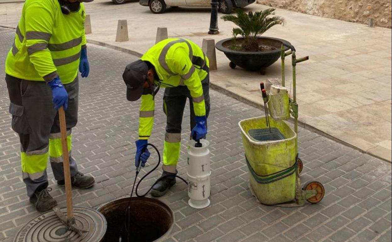 Operarios fumigan para evitar la presencia de cucarachas. 