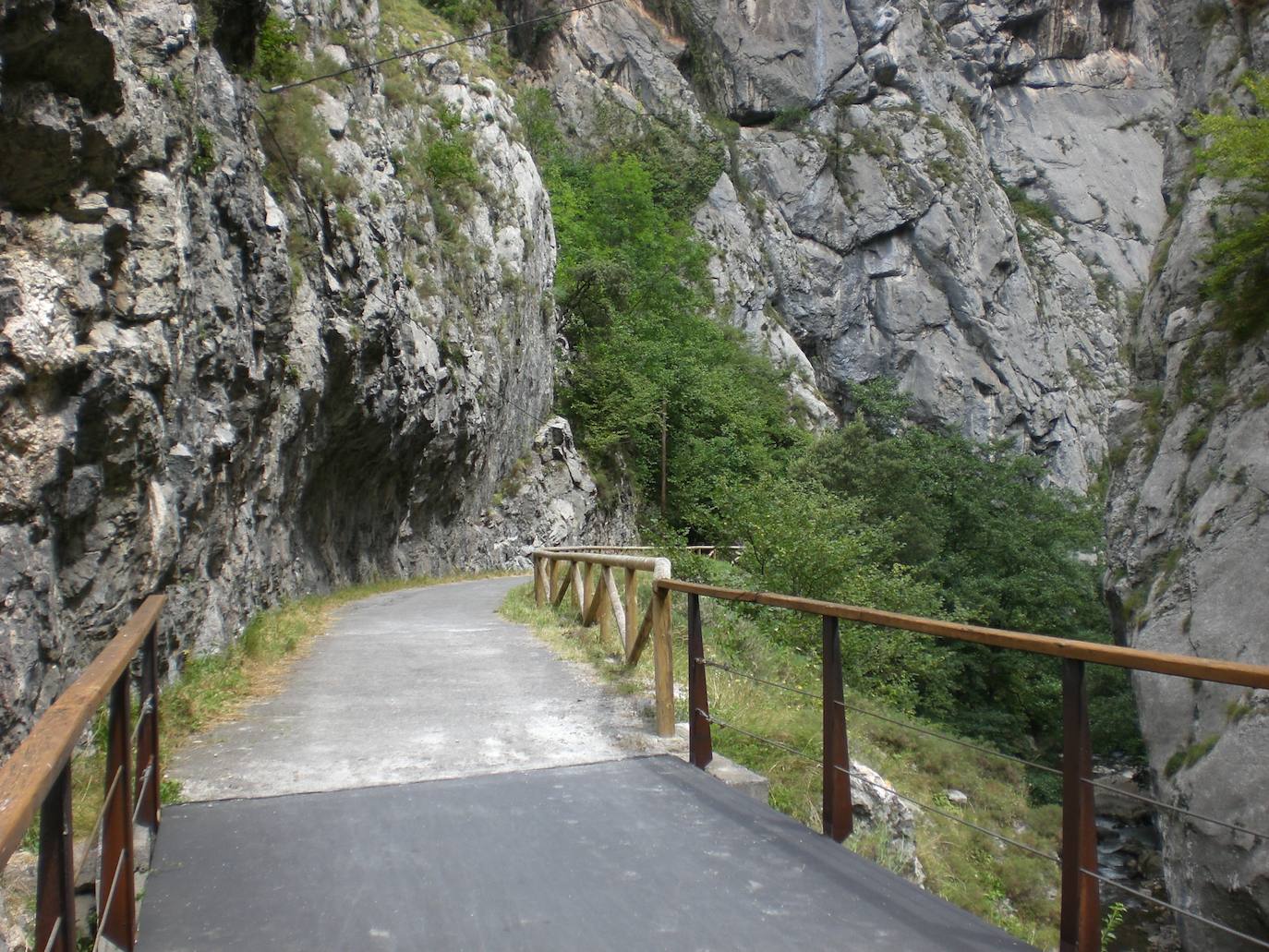 SENDA DEL OSO (ASTURIAS) | La Senda del Oso es una vía verde que discurre por los concejos de Proaza, Teverga, Quirós y Santo Adriano, todos ellos en el Principado de Asturias. Es una de las rutas de senderismo más frecuentadas de España y es ideal para realizar en bicicleta, ya que está íntegramente asfaltada. Cuenta con 22 kilómetros y se alza sobre una antigua vía férrea. Los ciclistas atravesarán algunos túneles y también cruzarán puentes sobre los ríos Trubia, Llanuces, Teverga y Picarós. 