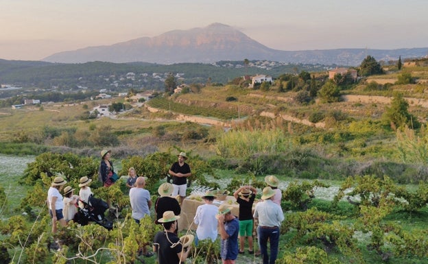 Actividad alrededor de la moscatell en el Poble Nou de Benitatxell.