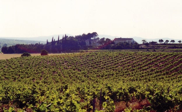 Panorámica de la finca.