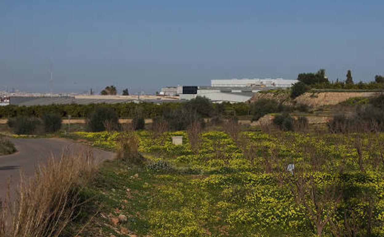 Un camino del término municipal de Picassent. 