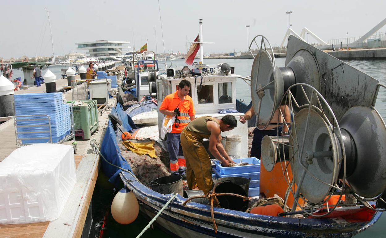 Pescadores en el puerto de Valencia. 