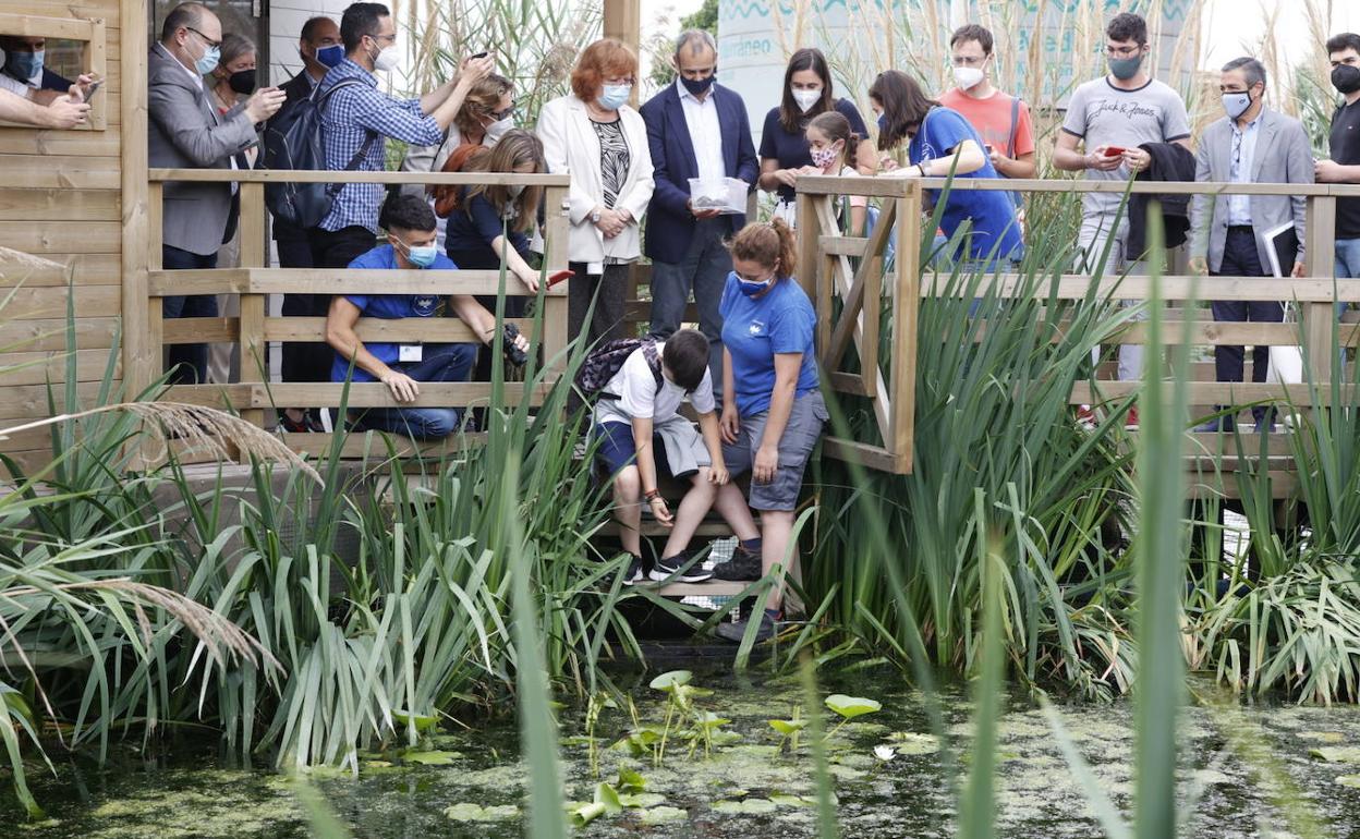 Una niña suelta una tortuga en Lago Vivo. 