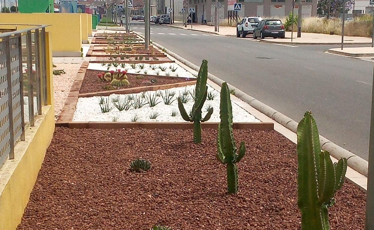 Alzira instala un jardín de bajo consumo de agua en la Gran Vía de la Comunitat
