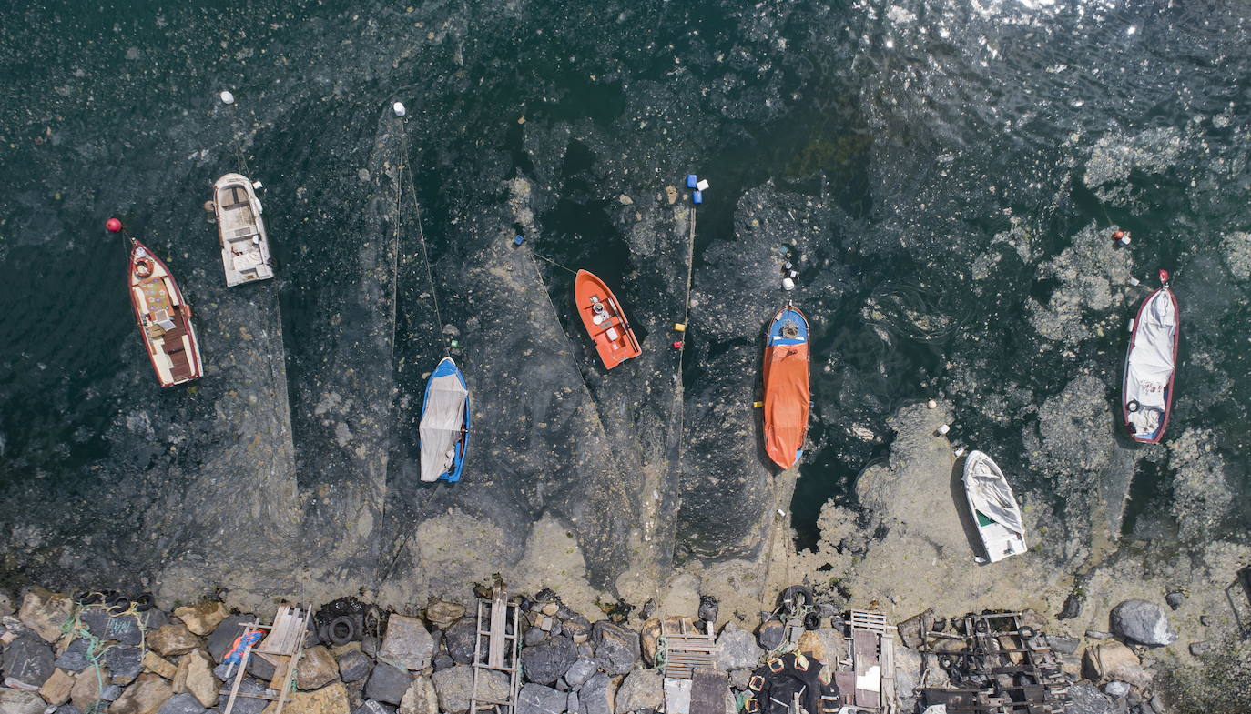 El calentamiento global ha hecho que una capa de mucosidad se extienda por el mar de Mármara, en Turquía. La sustancia se forma como resultado de la proliferación de microalgas. La principal razón de este fenómeno es que la temperatura del agua en el mar se encuentra 2,5 grados por encima de la media de los últimos 40 años.