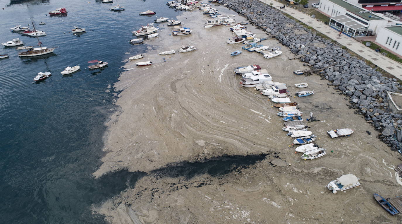 El calentamiento global ha hecho que una capa de mucosidad se extienda por el mar de Mármara, en Turquía. La sustancia se forma como resultado de la proliferación de microalgas. La principal razón de este fenómeno es que la temperatura del agua en el mar se encuentra 2,5 grados por encima de la media de los últimos 40 años.