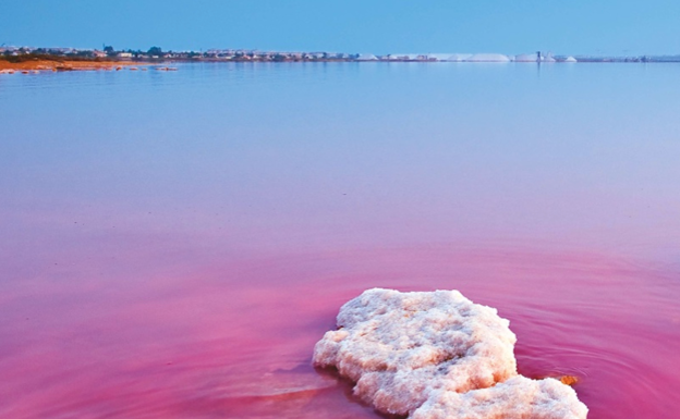 Descubre la Laguna Rosa de Torrevieja.