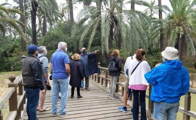 'Camina Alicante': rutas peatonales por la ciudad. 