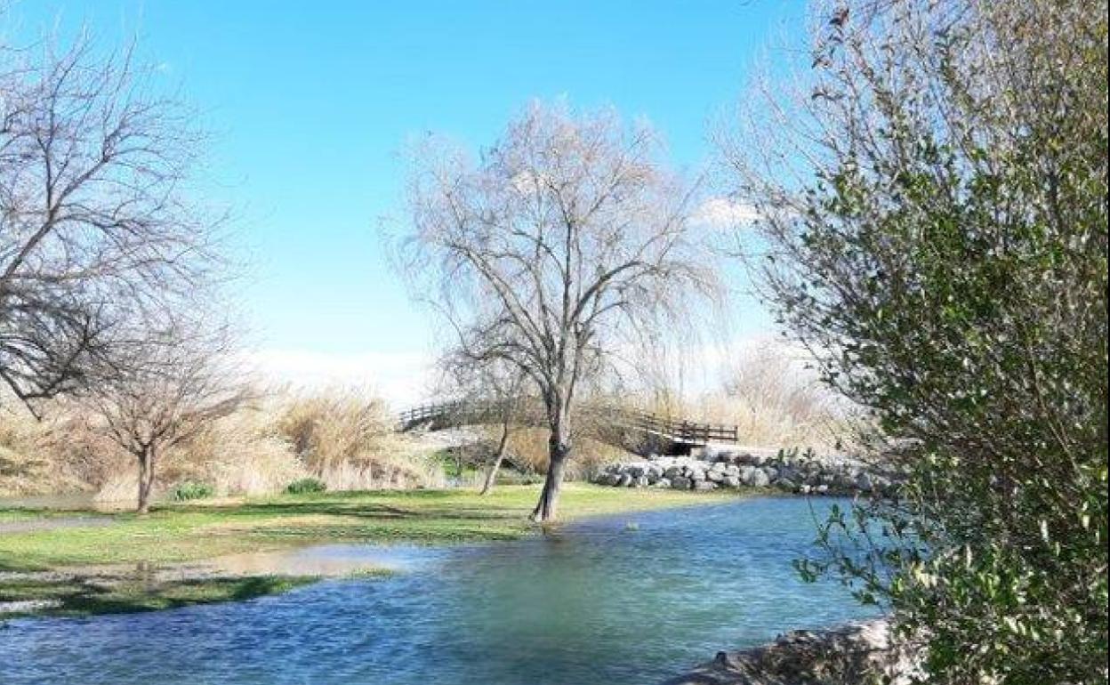 El río Turia a su paso por Quart de Poblet. 