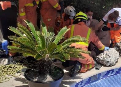 Imagen secundaria 1 - Pozo L&#039;Eliana | Rescatan a un hombre que había caído a un pozo en su chalet de L&#039;Eliana