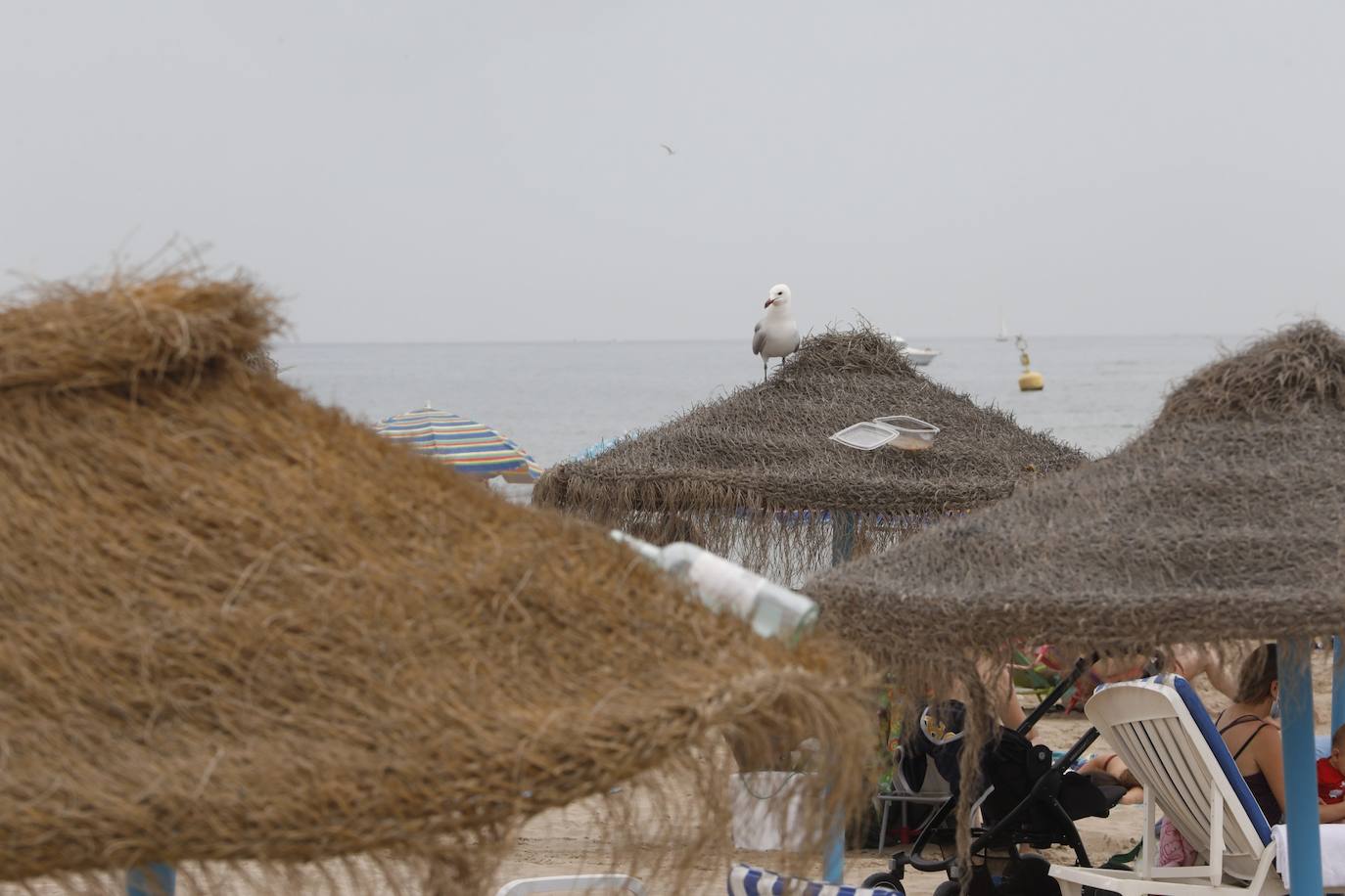 Dos noches han bastado para que los botellones y las fiestas en la playa de Valencia arrasen en el primer fin de semana sin toque de queda. 