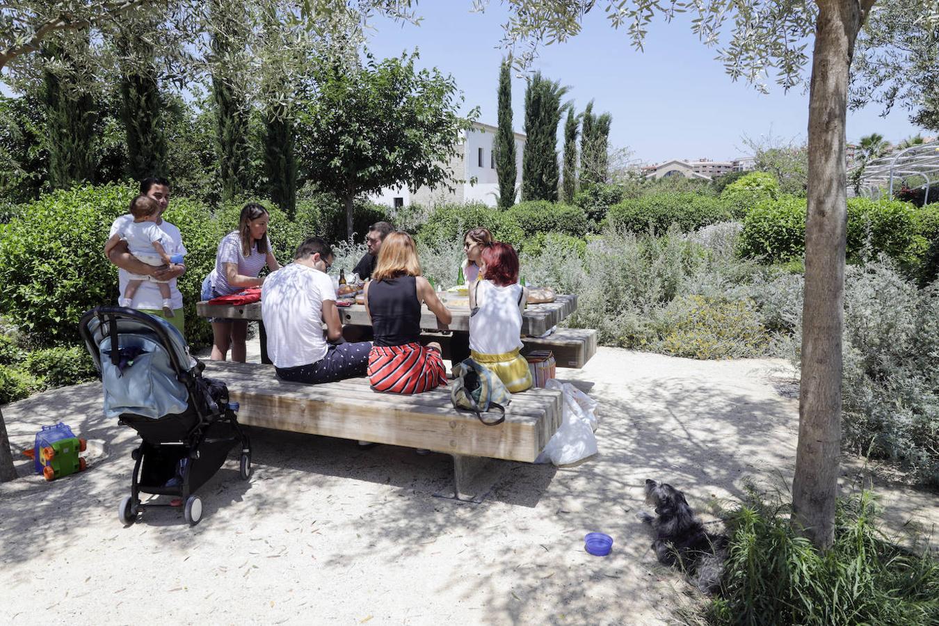 El Parque Central es escenario de numerosos picnics cada fin de semana