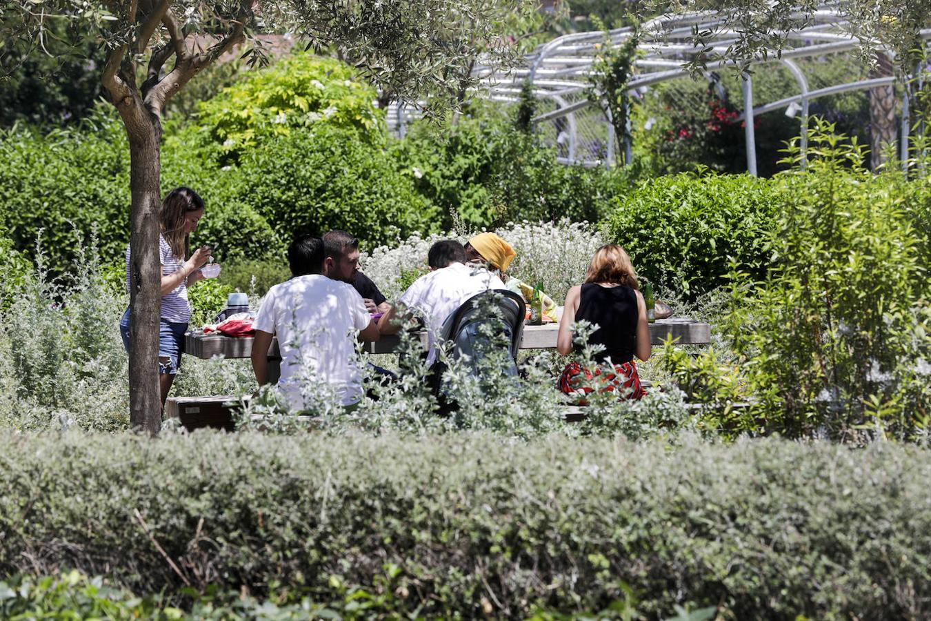 El Parque Central es escenario de numerosos picnics cada fin de semana