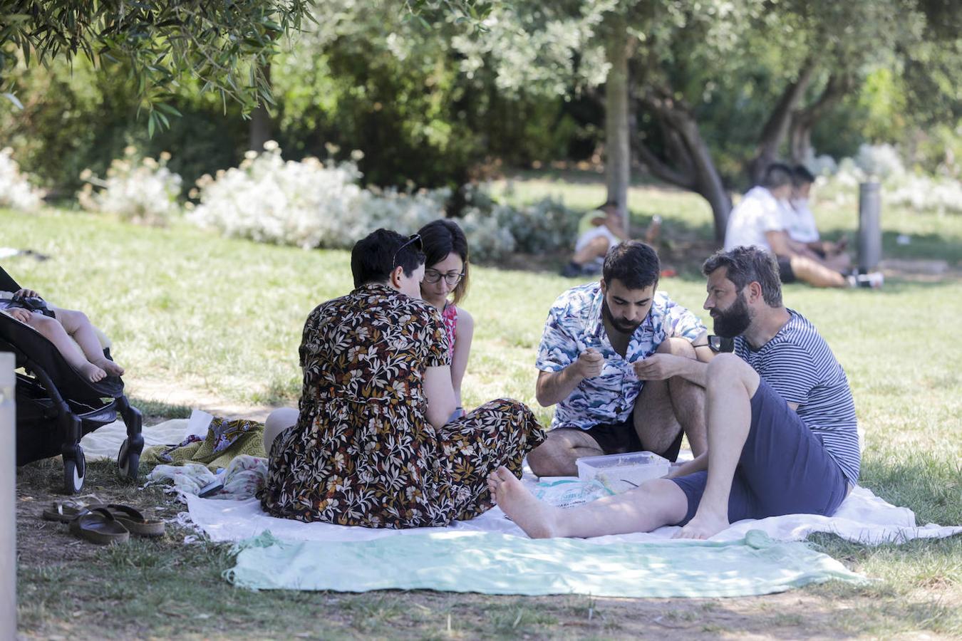 El Parque Central es escenario de numerosos picnics cada fin de semana